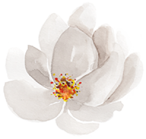 flower-white-single