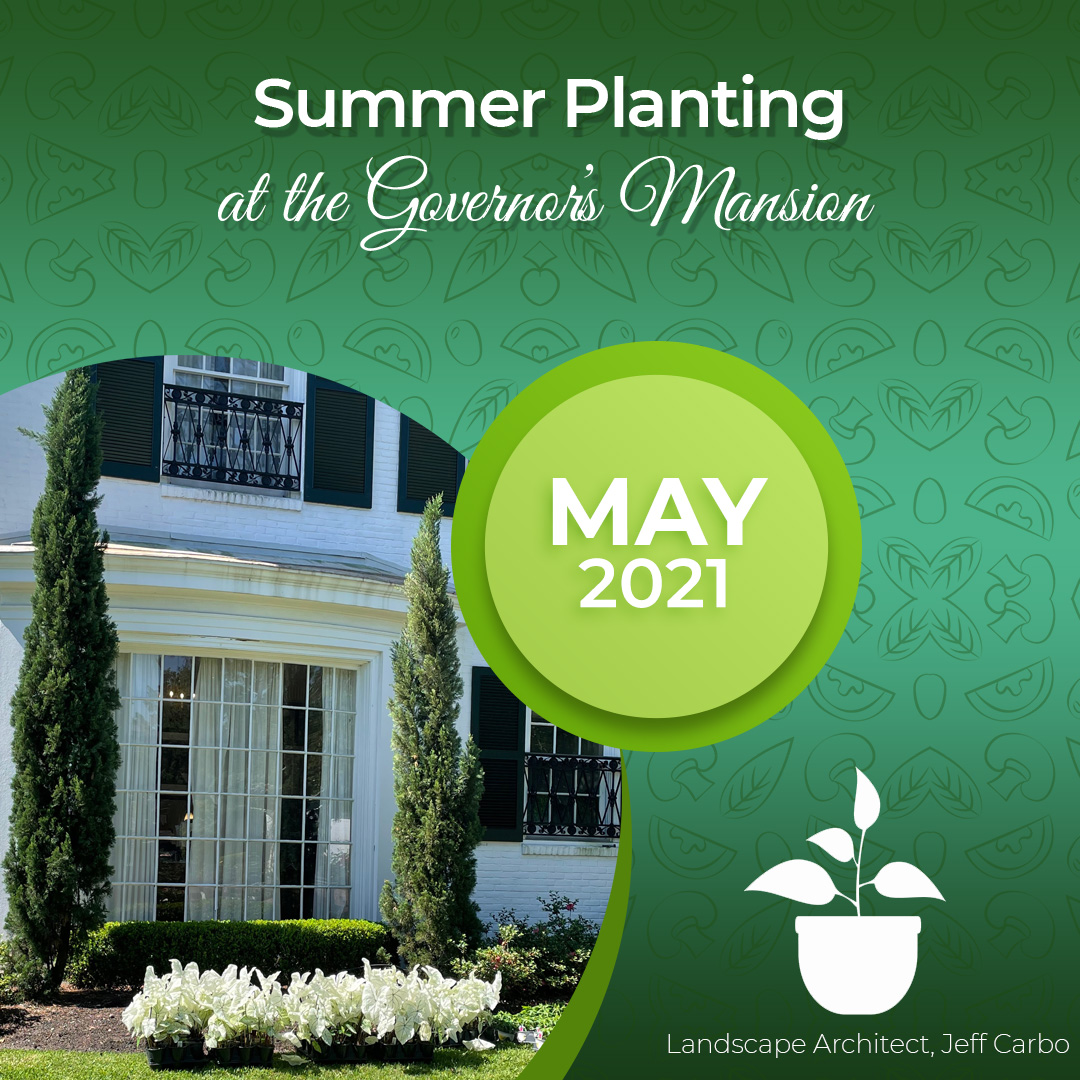 The Governor’s Mansion: Summer Planting at the Mansion