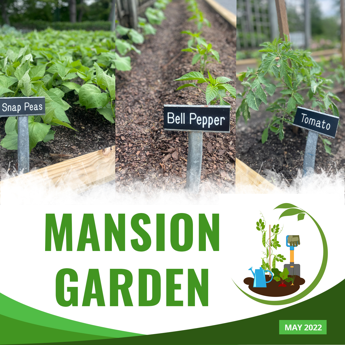 The Governor’s Mansion: Mansion Spring Garden