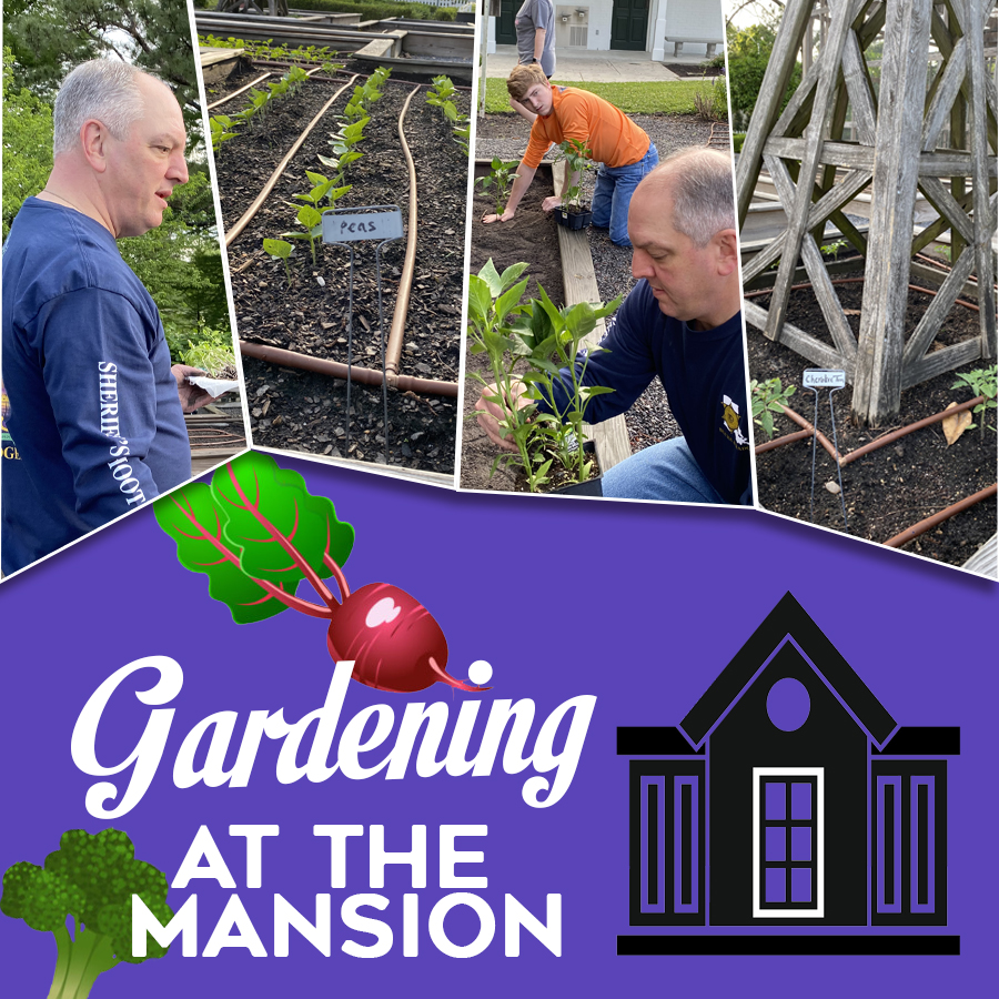 Gardening at the Governor’s Mansion Gardening at the Governor’s Mansion