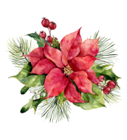 december-layout-flower-poinsettia