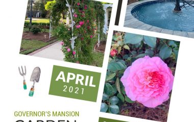 LFF_Blog_April2021_Mansion_Garden