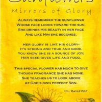 LFF_blog_sep2019_sunflowers07